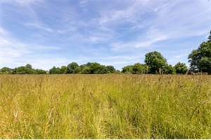 terrain agricole à la vente -   64420  ARTIGUELOUTAN, surface 15089 m2 vente terrain agricole - UBI465571322