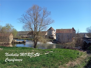 chateau à la vente -   71540  IGORNAY, surface 442 m2 vente chateau - UBI466547444