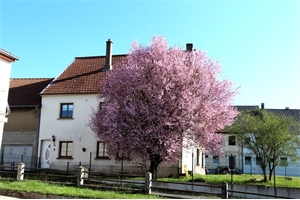 maison à la vente -   57510  RICHELING, surface 107 m2 vente maison - UBI467005907