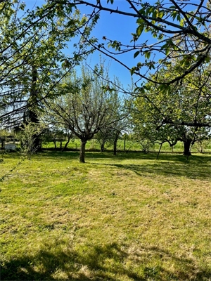 terrain a batir à la vente -   82000  MONTAUBAN, surface 820 m2 vente terrain a batir - UBI467630555