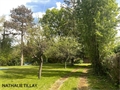 Photo numero 47036875 du bien UBI467747009