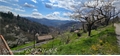 Photo numero 47038861 du bien UBI468214382