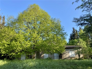 maison a renover à la vente -   34830  CLAPIERS, surface 216 m2 vente maison a renover - UBI468222704