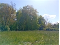 Image du bien UBI469644557
