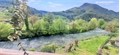 Photo numero 47095966 du bien UBI469660856