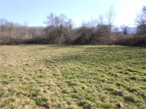 terrain à la vente -   65100  POUEYFERRE, surface 1717 m2 vente terrain - UBI469721159