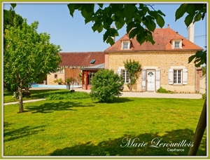 maison à la vente -   10130  CHESSY LES PRES, surface 261 m2 vente maison - UBI469964156