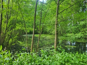 etang à la vente -   79330  GLENAY, surface 4985 m2 vente etang - UBI470129447