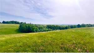 terrain a amenager à la vente -   82000  MONTAUBAN, surface 6000 m2 vente terrain a amenager - UBI470497247