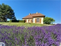 Image du bien UBI470726141