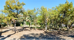 terrain a batir à la vente -   04300  FORCALQUIER, surface 820 m2 vente terrain a batir - UBI471099011