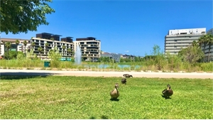 appartement à la vente -   34000  MONTPELLIER, surface 50 m2 vente appartement - UBI472068365