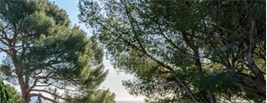 terrain à la vente -   13600  LA CIOTAT, surface 1560 m2 vente terrain - UBI472449515