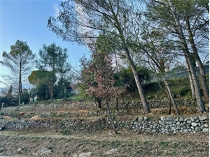 terrain a batir à la vente -   06130  PLASCASSIER, surface 1557 m2 vente terrain a batir - UBI472473908