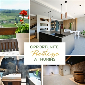 maison à la vente -   69510  THURINS, surface 151 m2 vente maison - UBI472620083