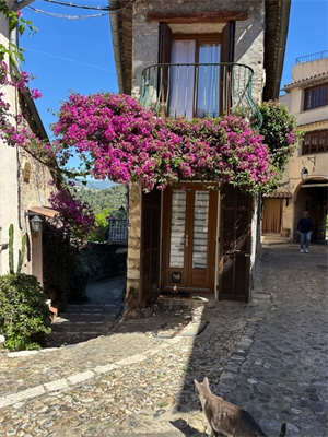 maison de village à la vente -   06800  CAGNES SUR MER, surface 85 m2 vente maison de village - UBI473526674