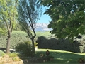 Photo numero 47456600 du bien UBI474124769