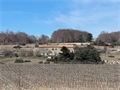Château à la vente