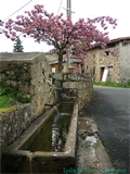 Image du bien UBI474233330