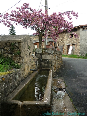 maison à la vente -   63300  THIERS, surface 89 m2 vente maison - UBI474233330