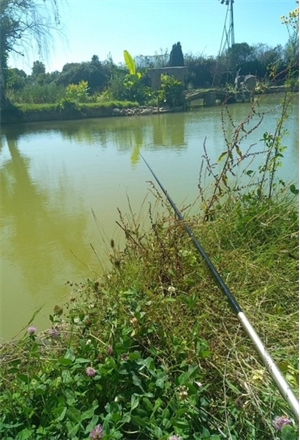etang à la vente -   49430  HUILLE, surface 4169 m2 vente etang - UBI474578861