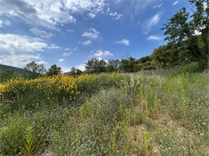 terrain à la vente -   07700  SAINT MARTIN D ARDECHE, surface 2000 m2 vente terrain - UBI474863174
