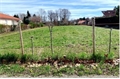 Terrain à bâtir à la vente