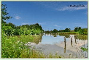 etang à la vente -   08240  BOULT AUX BOIS, surface 31710 m2 vente etang - UBI475803845