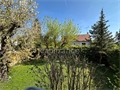 Photo numero 47695003 du bien UBI476022152