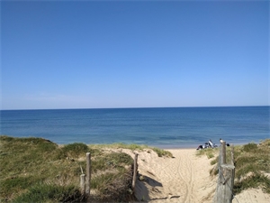 terrain a batir à la vente -   17310  SAINT PIERRE D OLERON, surface 2472 m2 vente terrain a batir - UBI476239478