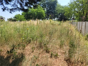 terrain à la vente -   33250  CISSAC MEDOC, surface 983 m2 vente terrain - UBI476532224