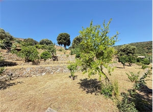 terrain a batir à la vente -   20167  ALATA, surface 1110 m2 vente terrain a batir - UBI477106400
