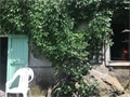 Image du bien UBI477494723