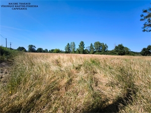 terrain à la vente -   41320  CHATRES SUR CHER, surface 12560 m2 vente terrain - UBI477749225