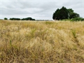 Terrain à bâtir à la vente