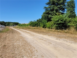 terrain à la vente -   33250  CISSAC MEDOC, surface 843 m2 vente terrain - UBI478250213