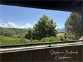 Photo numero 48202936 du bien UBI478457843