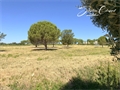 Terrain à la vente