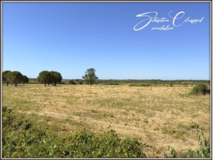 terrain à la vente -   34320  ROUJAN, surface 799 m2 vente terrain - UBI479554487