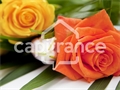 Image du bien UBI480126179