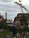 Image du bien UBI480476090