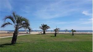 appartement à la vente -   66750  SAINT CYPRIEN PLAGE, surface 39 m2 vente appartement - UBI480879431