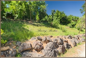 terrain a batir à la vente -   06570  SAINT PAUL DE VENCE, surface 500 m2 vente terrain a batir - UBI481019039