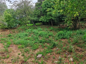 terrain à la vente -   06950  FALICON, surface 1027 m2 vente terrain - UBI482276234