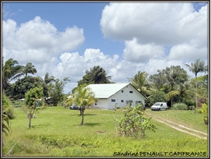 maison à la vente -   97315  SINNAMARY, surface 194 m2 vente maison - UBI482348990