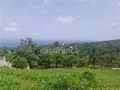 Terrain à bâtir à la vente