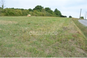 terrain a batir à la vente -   58200  ALLIGNY COSNE, surface 3285 m2 vente terrain a batir - UBI483708716