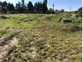 Terrain à bâtir à la vente