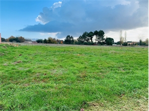 terrain a batir à la vente -   33920  SAINT CHRISTOLY DE BLAYE, surface 1100 m2 vente terrain a batir - UBI476084102