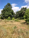 Image du bien UBI482091701
